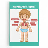 STEM Learning Wall Art - Respiratory System Educational Chart