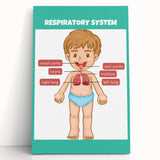 STEM Learning Wall Art - Respiratory System Educational Chart