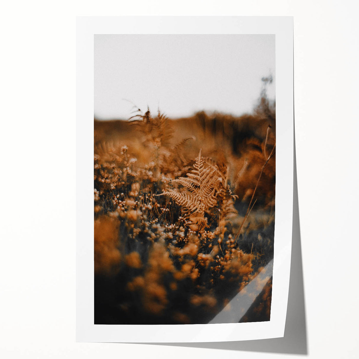 Art deco poster featuring autumnal tree in pastel orange and yellow shades on a rolled print, suitable for nursery wall art.