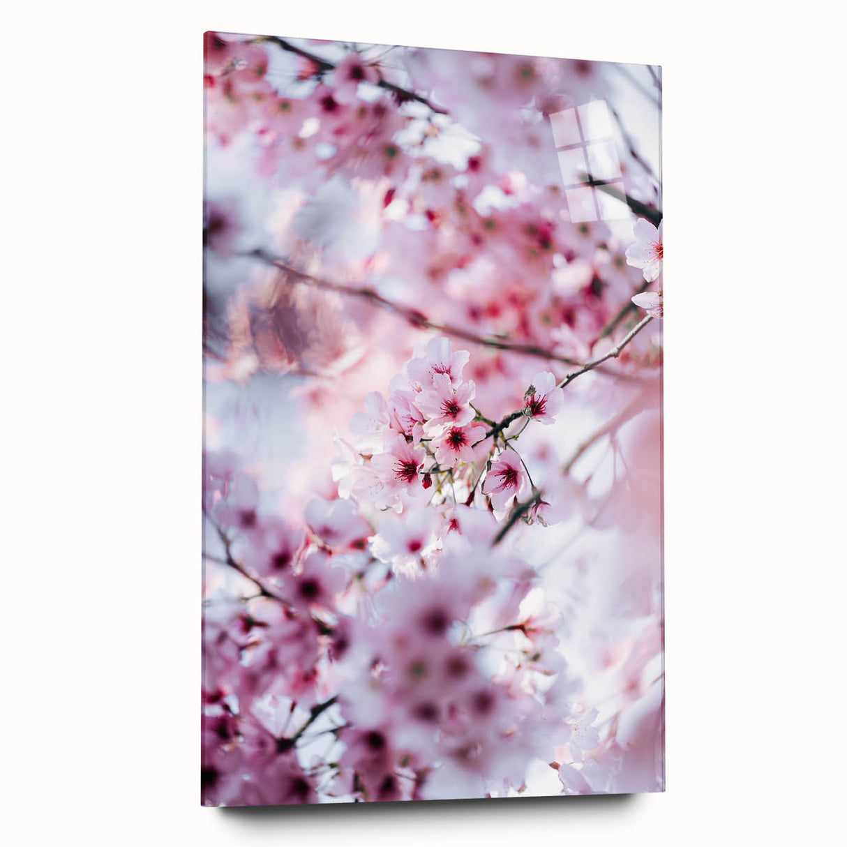 Large abstract wall art on acrylic glass depicting vibrant spring colors, ideal for bedroom or dining room decor.