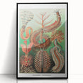 Modern Wall Art: Chaetopoda - Intricate Marine Life Illustration