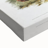 Romantic Art Prints: American Elk - Historic Wildlife Illustration