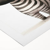 Safari Zebra Nursery Wall Art - Children's Wall Art Print