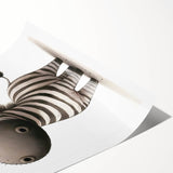 Safari Zebra Nursery Wall Art - Children's Wall Art Print