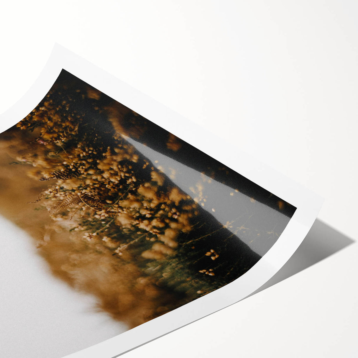 Extra large rolled print featuring line art flowers in muted autumn hues, ideal for large living room wall art.