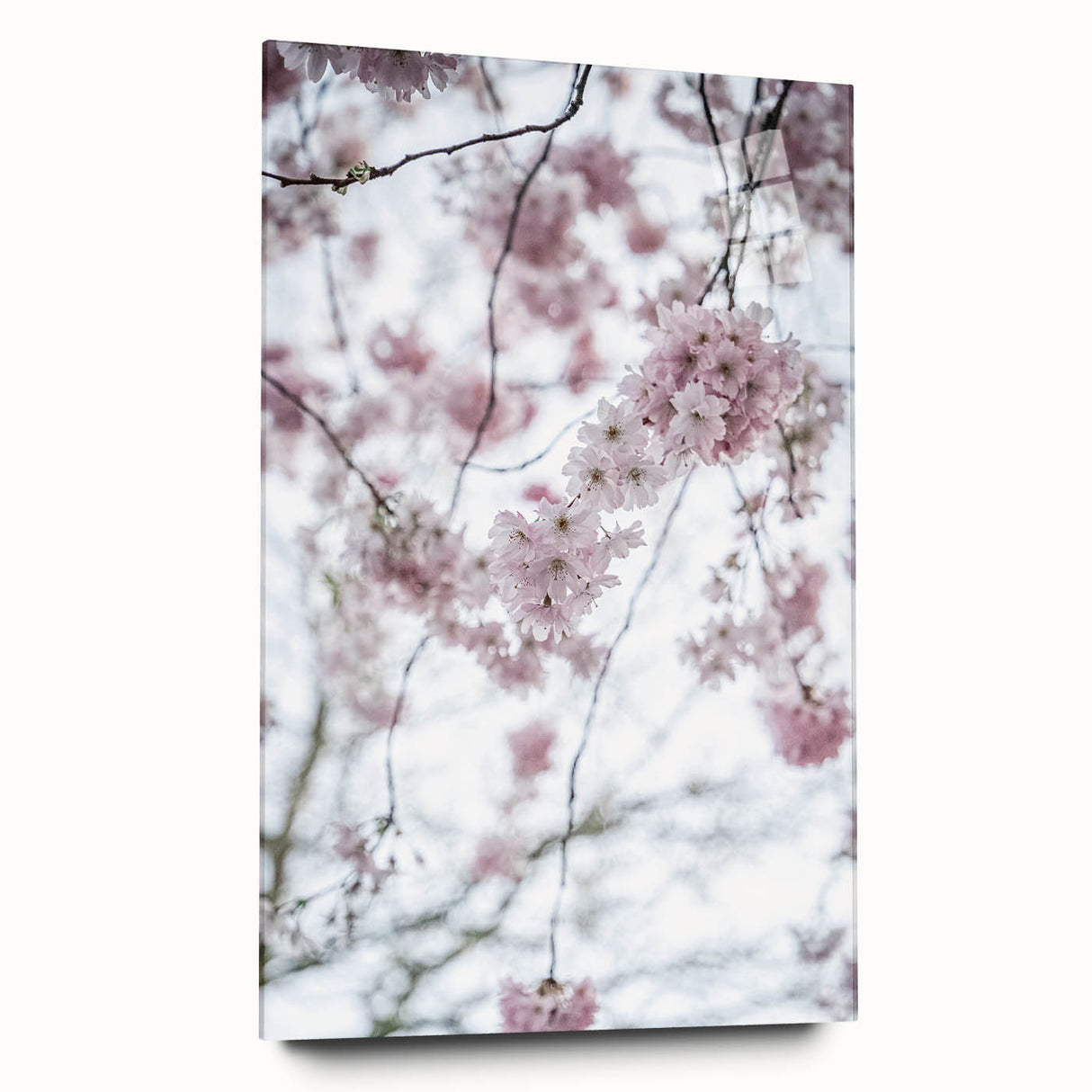 Large abstract wall art on acrylic glass depicting spring themes in soft green and pink tones.