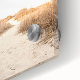 Large abstract wall art in vibrant orange and red tones on acrylic glass.