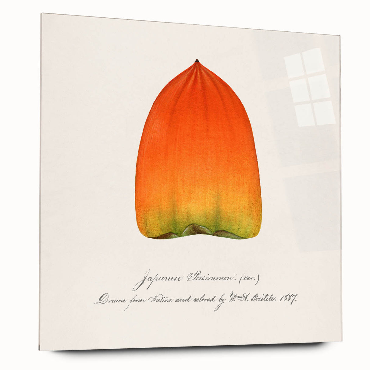 Large abstract wall art of assorted fruits in vibrant colors on acrylic glass, ideal for bedroom or dining room decor.