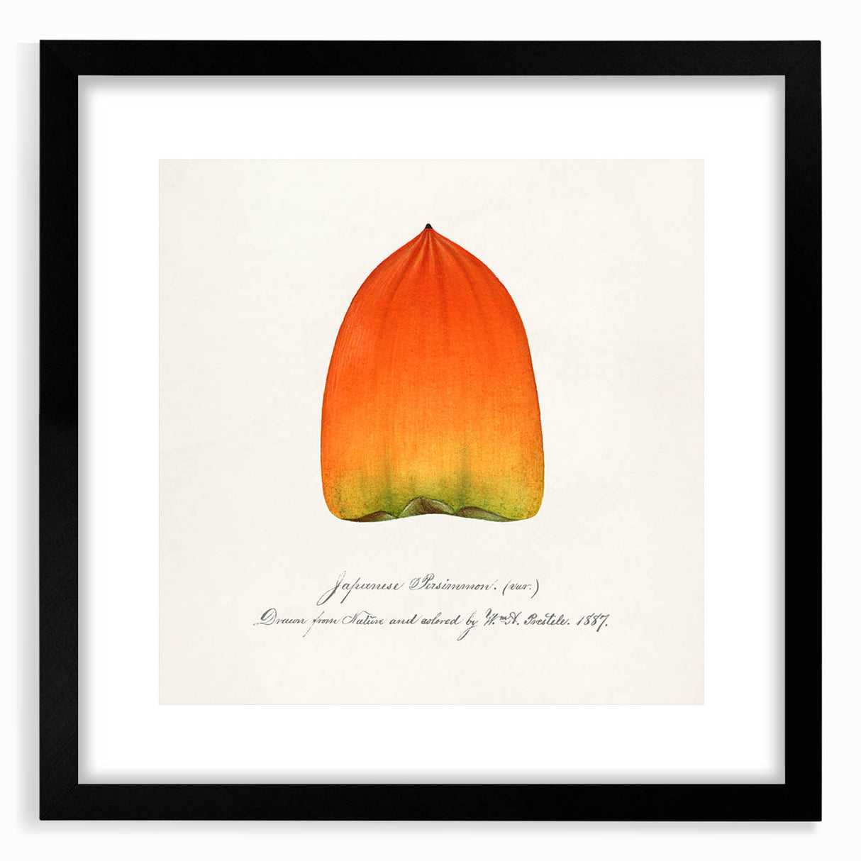 Extra large abstract art print featuring colorful, textured depictions of fruits on a black framed canvas.