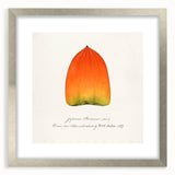 Textured art featuring abstract fruit designs in vibrant colors, framed with a silver mat, ideal for bedroom wall decor.