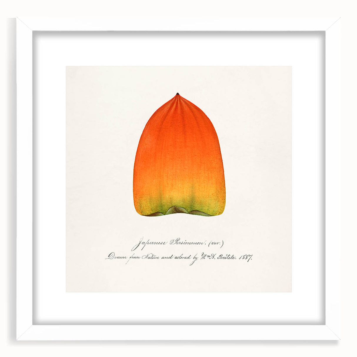 Abstract art print of assorted fruits in vibrant colors on a white framed mat, ideal for dining room decor.