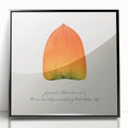 Large abstract wall art featuring assorted fruits in bold colors on a black acrylic framed print.