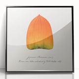 Large abstract wall art featuring assorted fruits in bold colors on a black acrylic framed print.