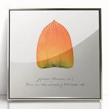 Mid-century modernist art featuring an array of fruits in muted colors, framed in acrylic, ideal for modern kitchen decor.