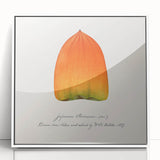 Art deco poster featuring an array of colorful fruits on a white acrylic framed canvas, ideal for modern kitchen decor.