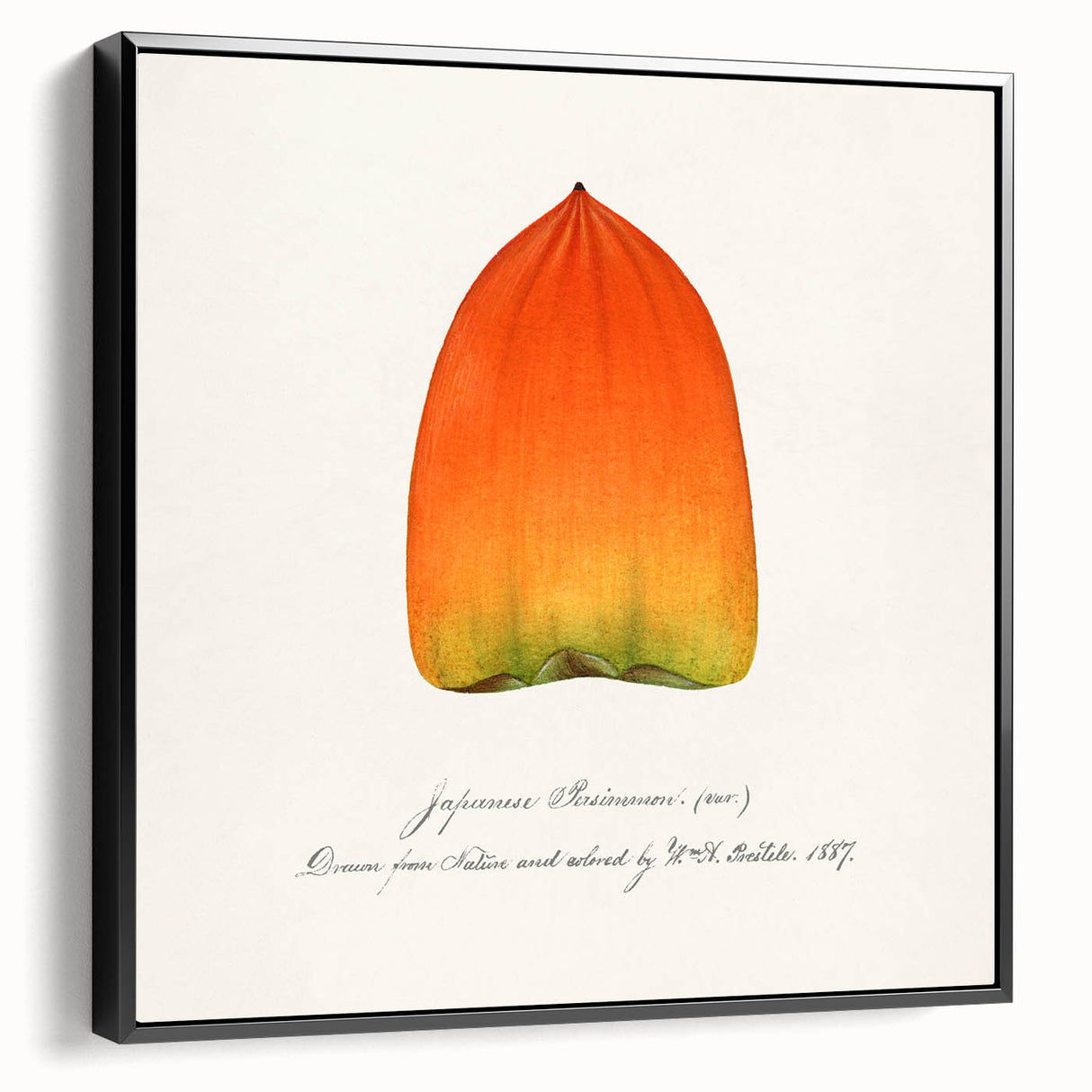 Black and white framed canvas featuring assorted fruits, ideal for vintage-style bedroom decor.