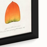 Extra large framed canvas featuring textured black wall art with colorful fruits, ideal for living room decor.