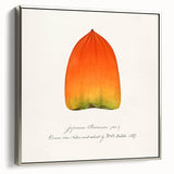 Framed canvas landscape painting of colorful fruits on a black background, suitable for kitchen decor.