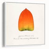 Vintage poster art of colorful fruits on a large framed canvas, ideal for living room decor.