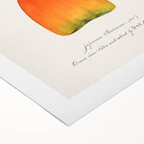 Art deco poster of assorted fruits in vibrant colors on a rolled canvas, suitable for dining room wall art.