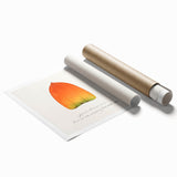Extra large rolled print featuring a variety of vibrant colored fruits.