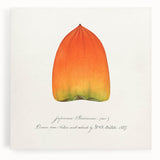 Black and white stretched canvas featuring an assortment of fruits, ideal for kitchen wall art.