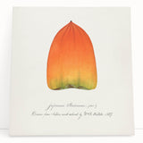 Black and white stretched canvas of assorted fruits, ideal for kitchen wall art.