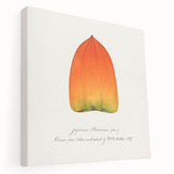 A stretched canvas print displaying a variety of colorful fruits, ideal for kitchen wall art.