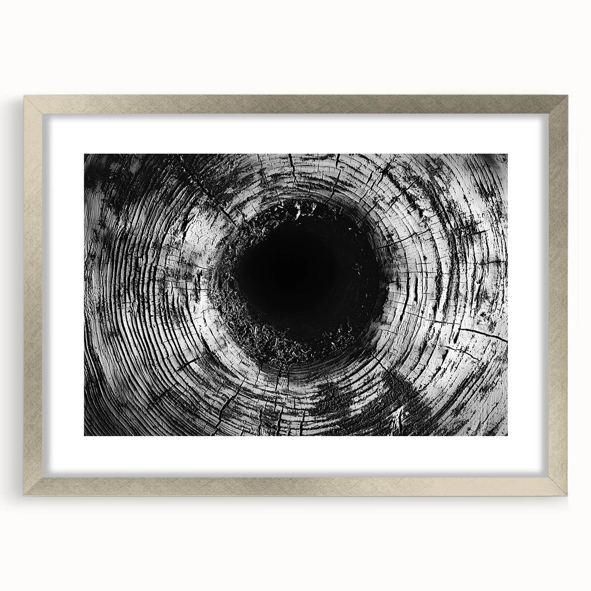 Textured abstract art print featuring close-up nature elements in muted green and brown tones.