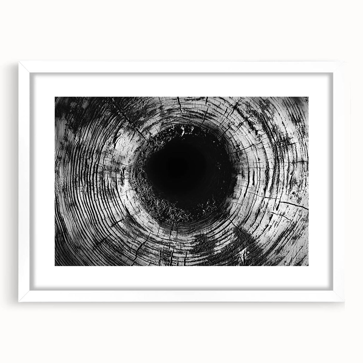 Abstract art print featuring close-up nature elements in muted green and brown tones, framed with a white mat.