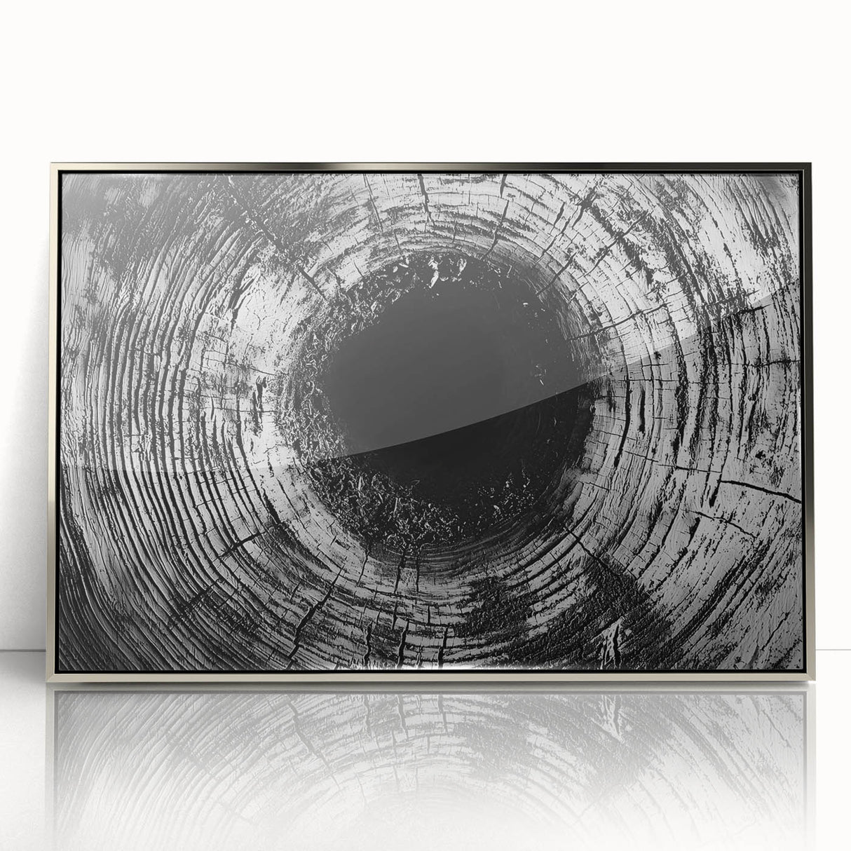 Mid-century modernist art depicting close-up nature elements in silver framed acrylic, suitable for nursery wall decor.