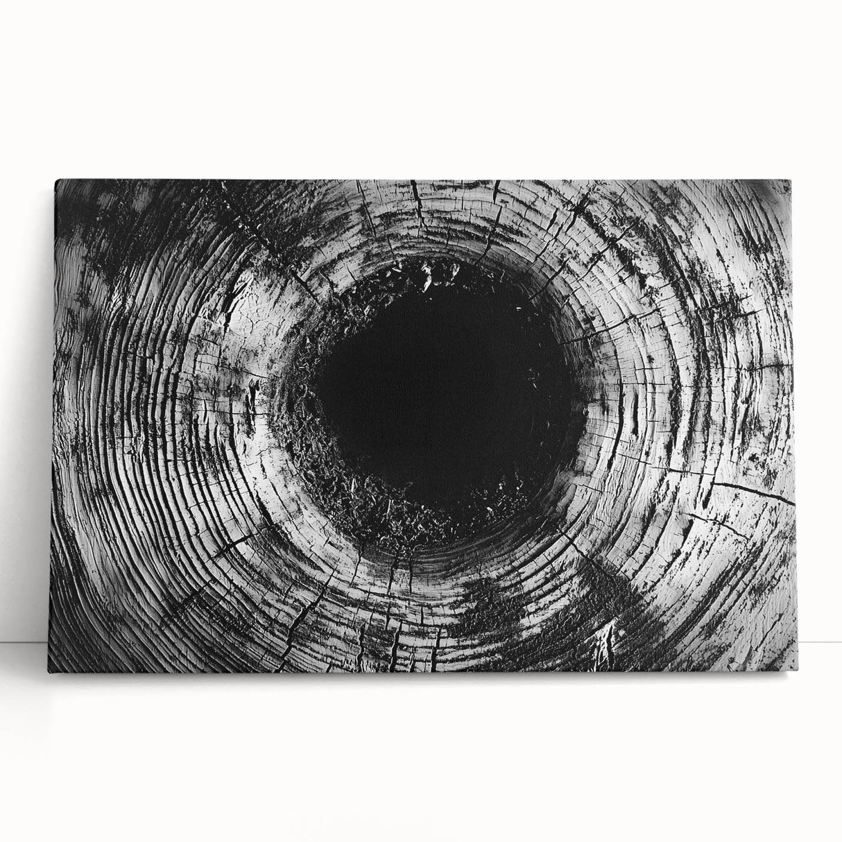 Black and white close-up photo of a leaf on stretched canvas, ideal for kitchen wall art or bedroom ambiance.