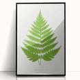 Realism Art Prints - Acrostichum Alienum Fern by Edward Joseph Lowe