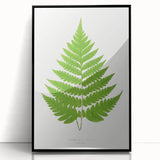 Realism Art Prints - Acrostichum Alienum Fern by Edward Joseph Lowe