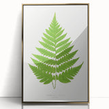 Realism Art Prints - Acrostichum Alienum Fern by Edward Joseph Lowe