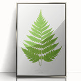 Realism Art Prints - Acrostichum Alienum Fern by Edward Joseph Lowe