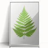 Realism Art Prints - Acrostichum Alienum Fern by Edward Joseph Lowe