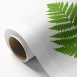 Realism Art Prints - Acrostichum Alienum Fern by Edward Joseph Lowe