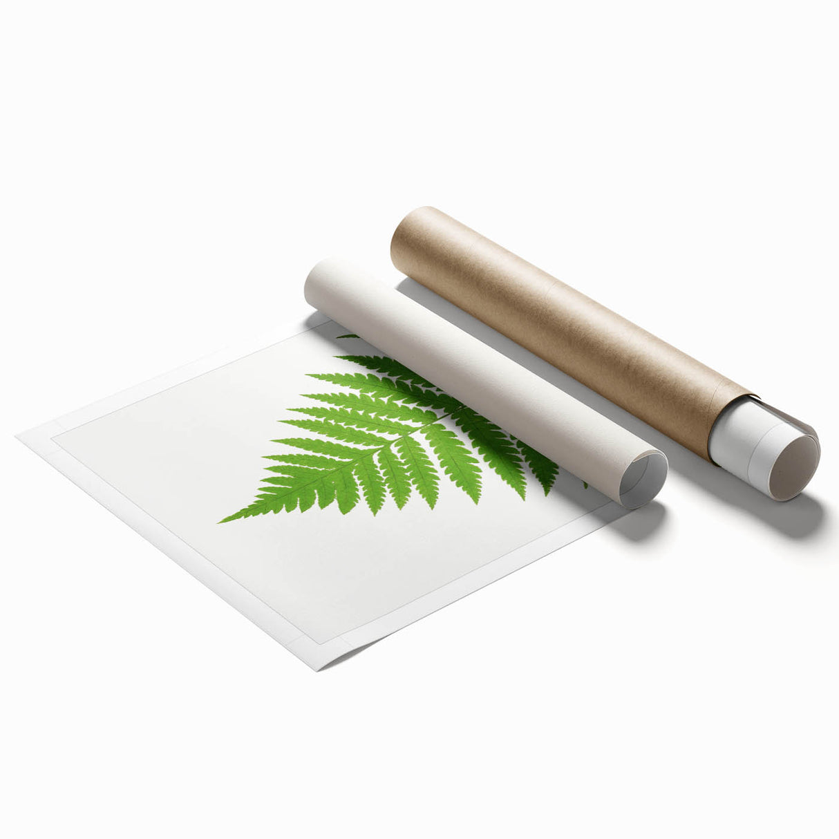 Realism Art Prints - Acrostichum Alienum Fern by Edward Joseph Lowe