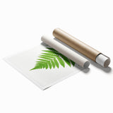 Realism Art Prints - Acrostichum Alienum Fern by Edward Joseph Lowe