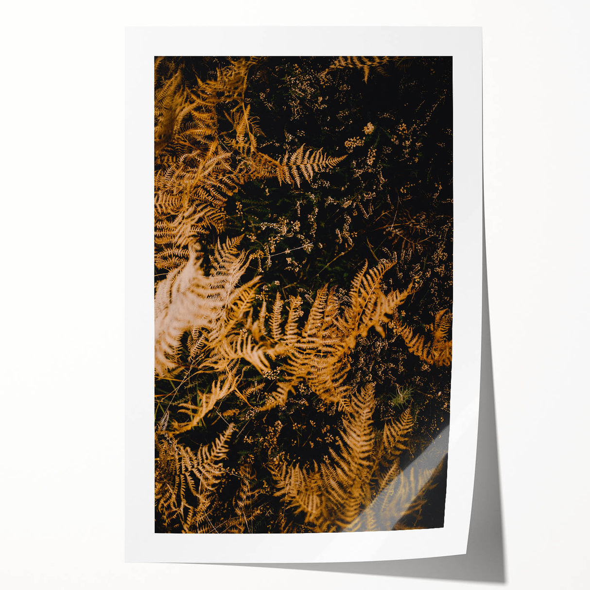 Extra large wall art featuring autumnal floral designs in warm orange and red tones on rolled canvas.