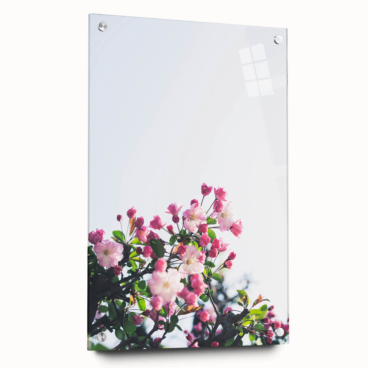 Large abstract wall art on acrylic glass depicting vibrant spring colors, ideal for bedroom or dining room decor.