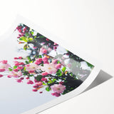 Extra large wall art featuring line art flowers in soft pastel shades on a rolled canvas, ideal for large living room decor.