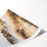 Extra large wall art featuring line art flowers in black on a white background, ideal for large living room decor.