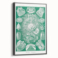 Modern Wall Art: Teleostei - Artistic Marine Biology Print
