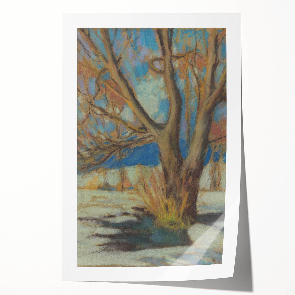 Winter's Essence: Study of a Bare Tree by Zolo Palugyay