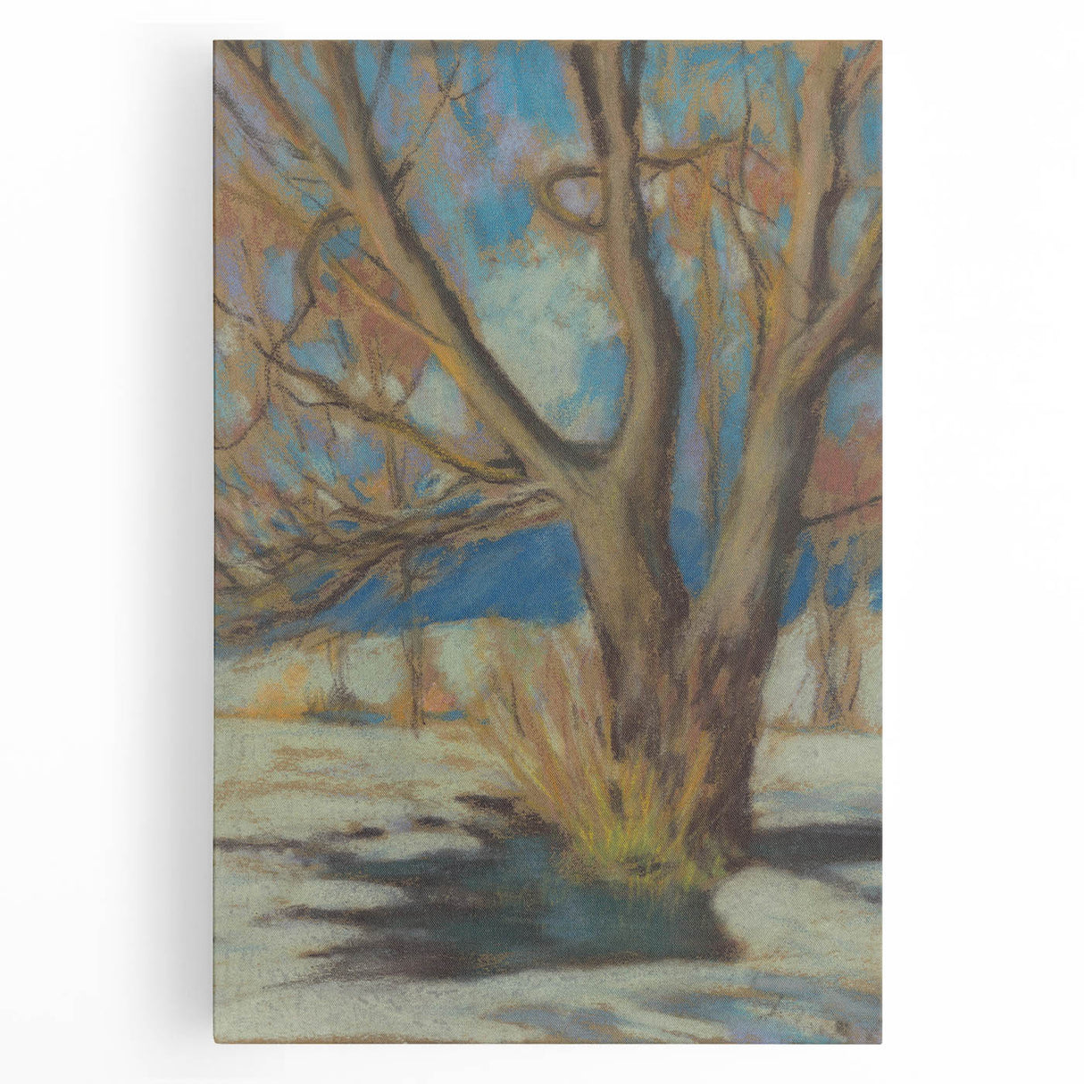 Winter's Essence: Study of a Bare Tree by Zolo Palugyay