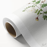 Neoclassical Silver-Flowered Hispid Rose Classical Art Print