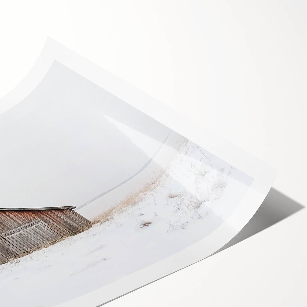 Rustic landscape barn print rolled up in a protective tube, showcasing vibrant colors and intricate details, ideal for farmhouse decor enthusiasts.