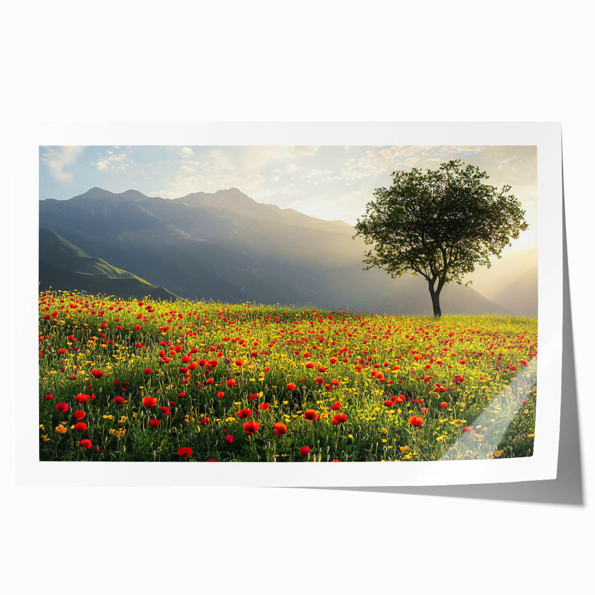 Vibrant countryside landscape rolled canvas print showcasing rolling hills, lush greenery, and a serene sky, elegantly packaged in a protective cardboard tube.